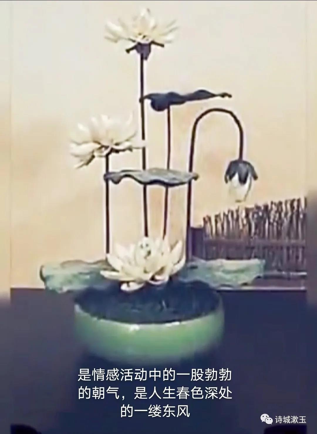 1614053059229006.jpg 4.jpg