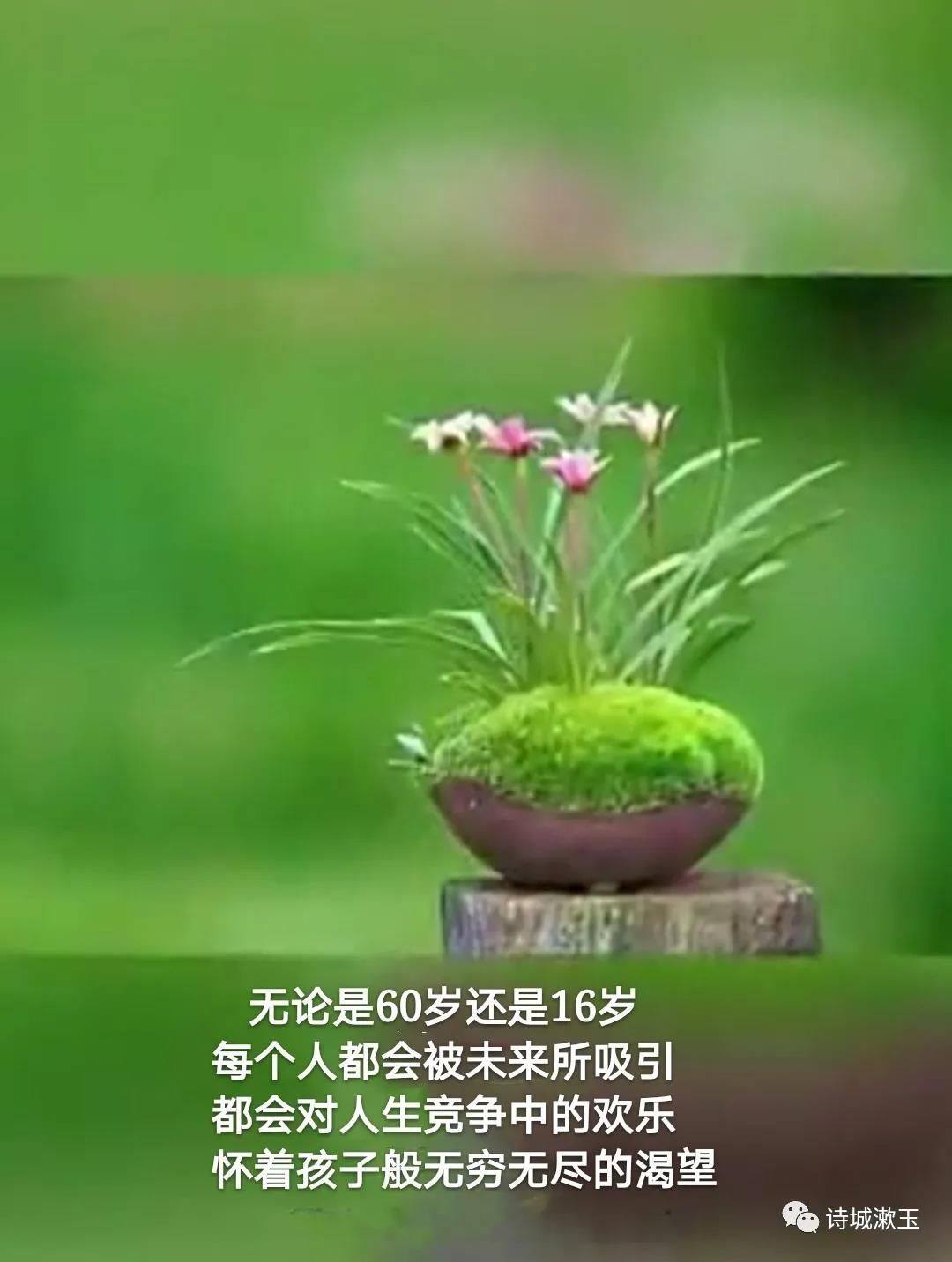 1614053136146006.jpg 7.jpg