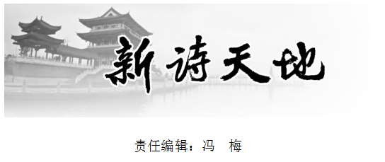1634031042115603.png image.png