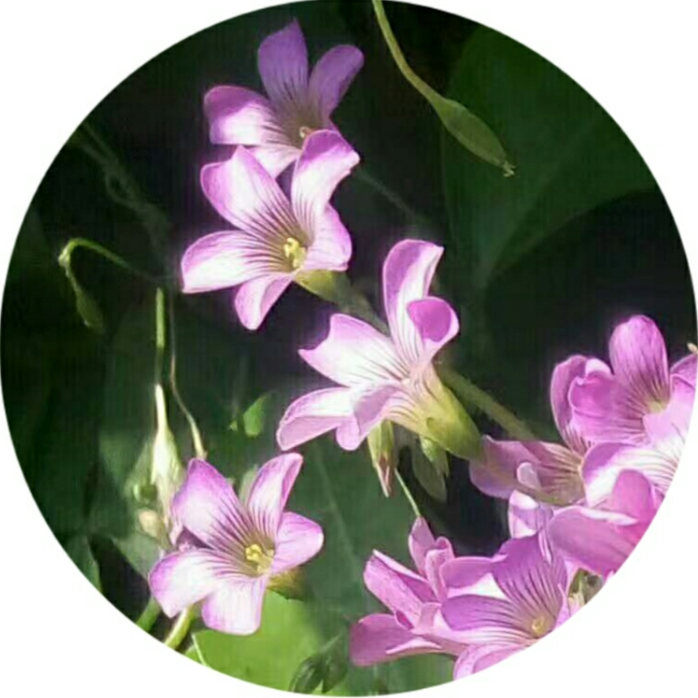 1652784584161042.png 3.png