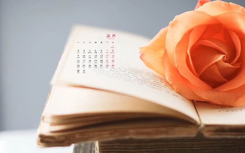 【兰芷清吟】151期(散曲专辑) 【兰芷清吟】151期(散曲专辑)