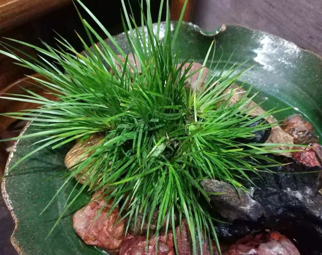 诗城漱玉 第86期 诗城漱玉 第86期